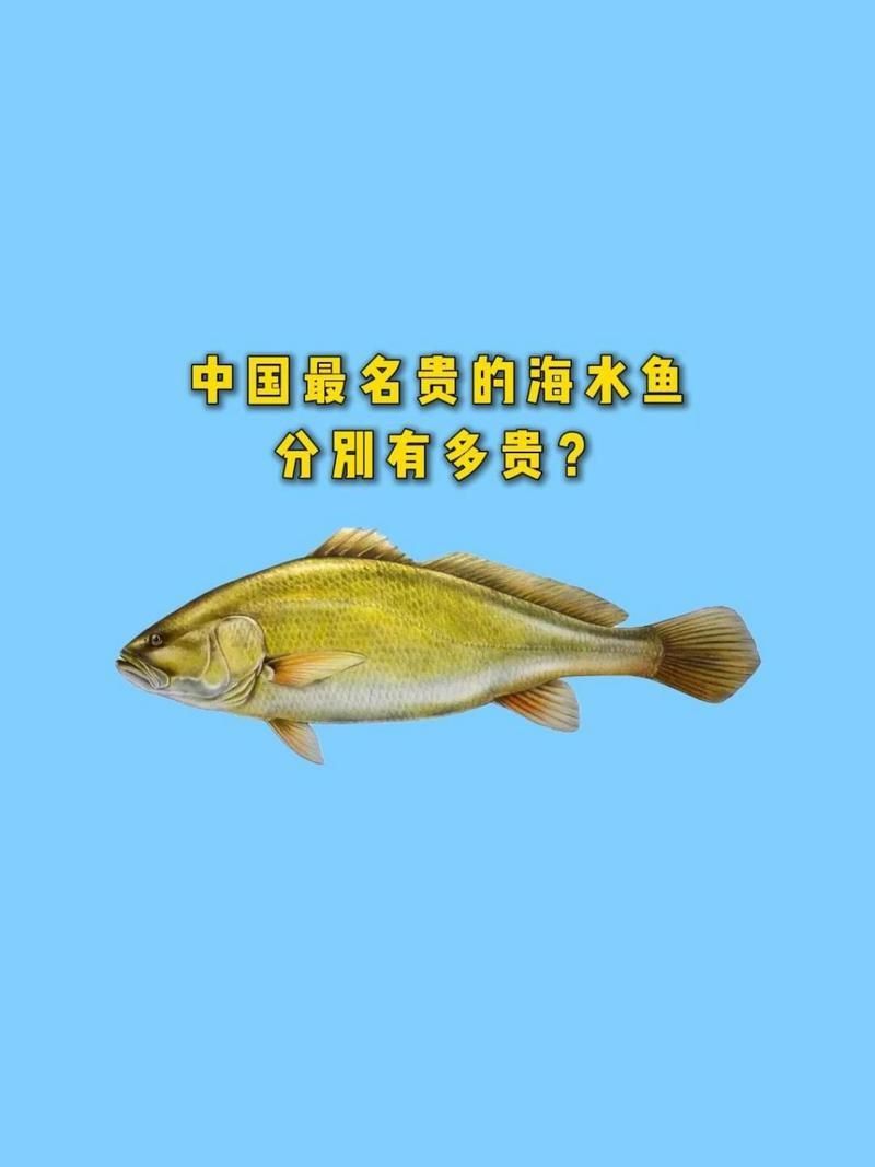 紅龍魚品牌有哪些種類（世界上8大紅龍魚品種，一條價值高達268萬元!）