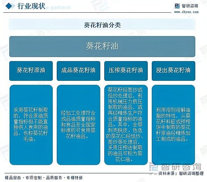 金龍魚龍頭股