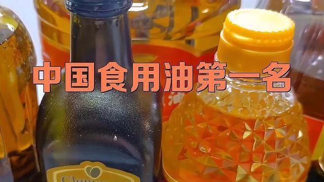金龍魚龍頭股