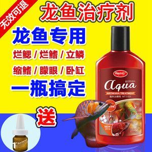 龍魚臥缸怎么回事：龍魚臥缸的三個原因及對策