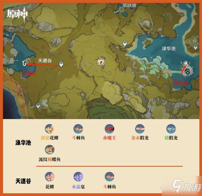 龍魚釣魚點原神：原神釣魚之龍魚釣魚