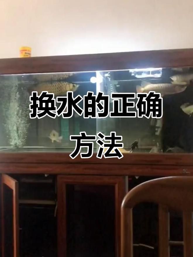 龍魚一般幾天換水