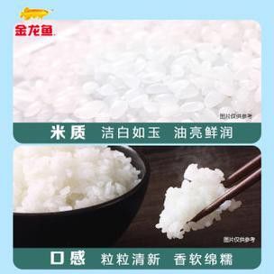 金龍魚5kg軟香稻圖片