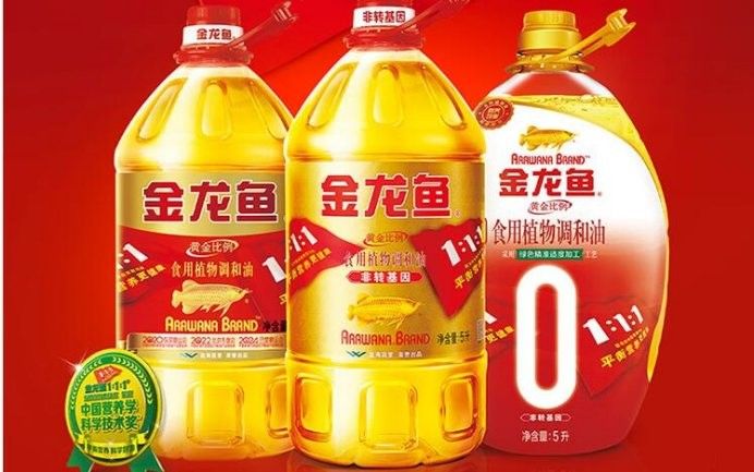 金龍魚圖片大圖大全