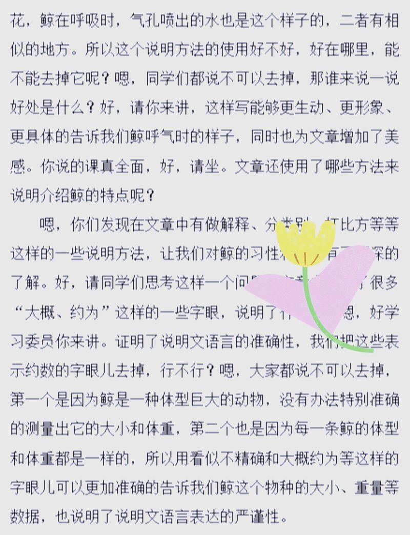 鯨魚的嘴巴真大什么