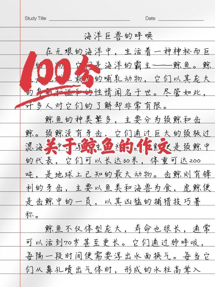 鯨魚的嘴巴真大什么