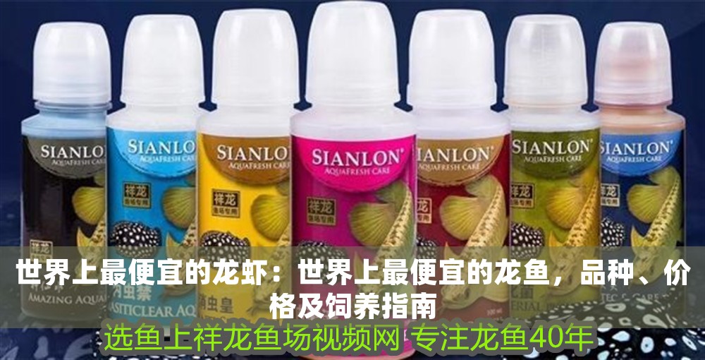 世界上最便宜的龍蝦：世界上最便宜的龍魚，品種、價格及飼養指南