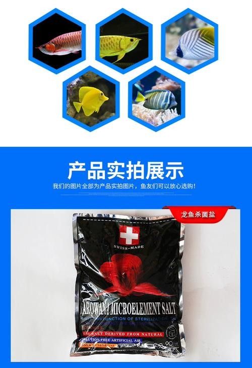 龍魚飼料魚消毒方法圖片