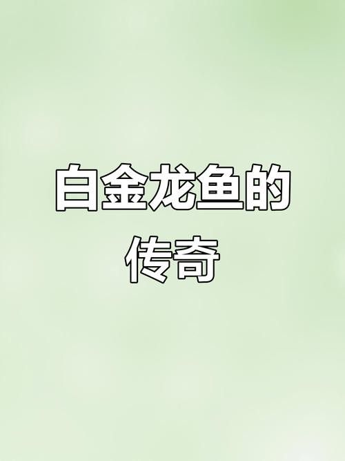 白色的龍魚長什么樣圖片