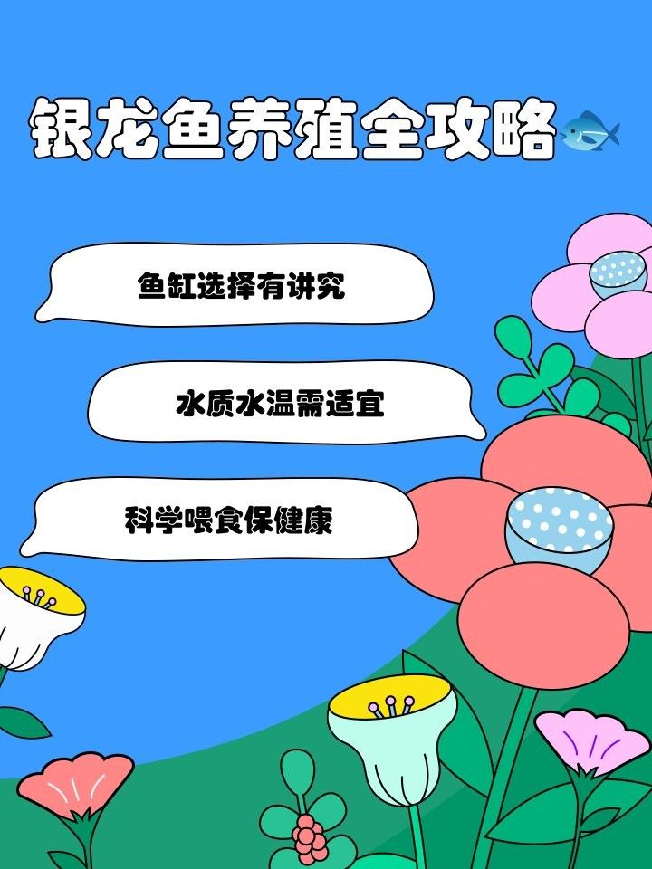 銀龍魚單養一條好嗎