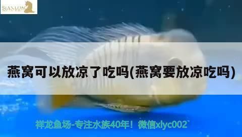 紅龍魚燈光位置擺放圖（紅龍魚燈光擺放位置促進紅龍魚發色和健康生長至關重要）