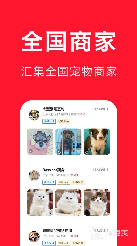 有哪些平臺可以發布龍魚轉讓信息？