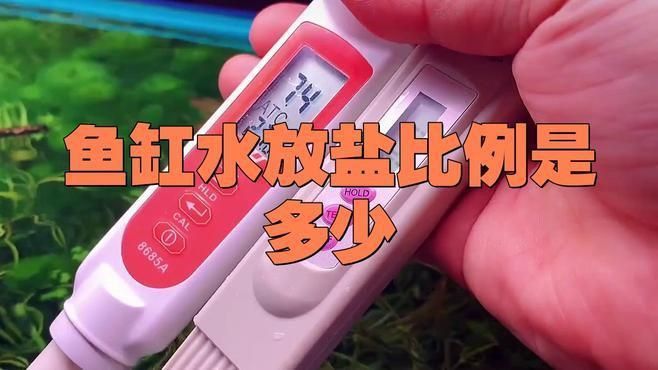錦鯉身體發紅充血需要下多少鹽？