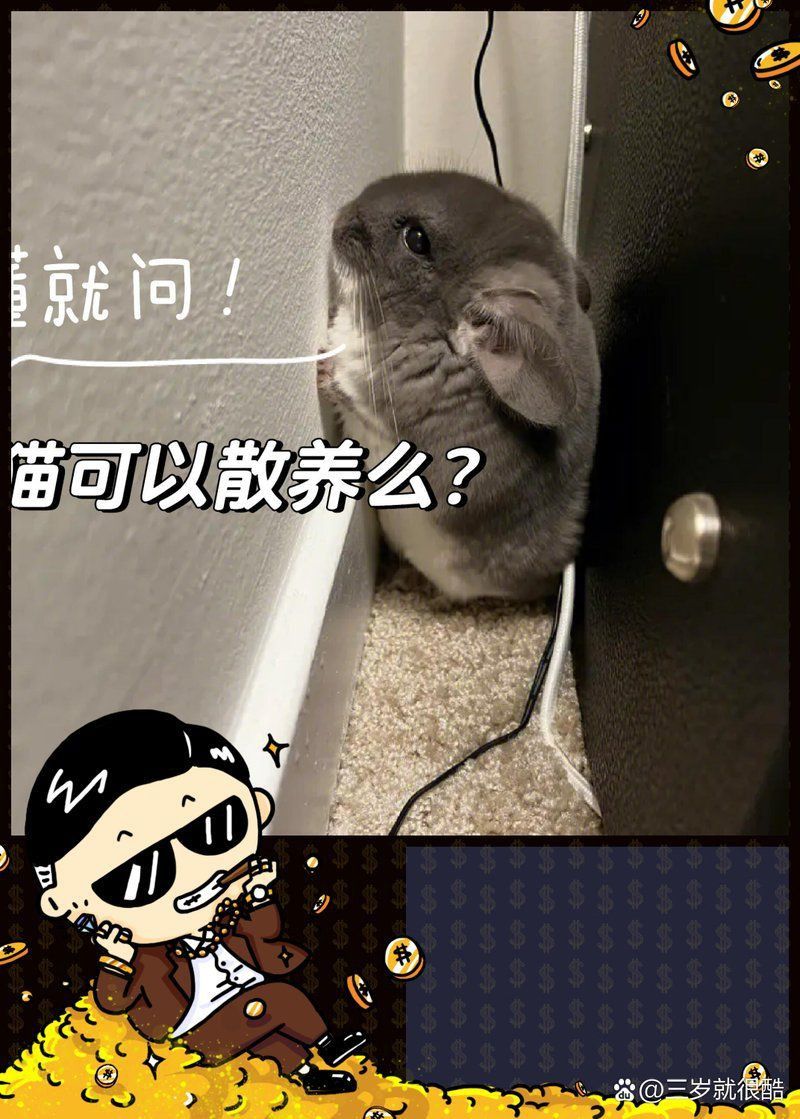 龍貓散養還是籠養好