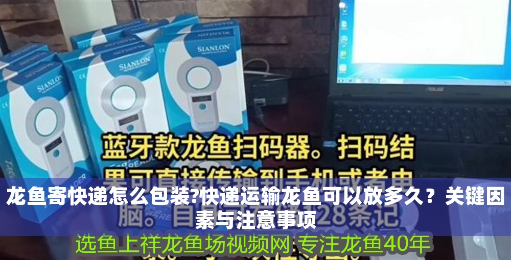 龍魚寄快遞怎么包裝?快遞運(yùn)輸龍魚可以放多久？關(guān)鍵因素與注意事項(xiàng)