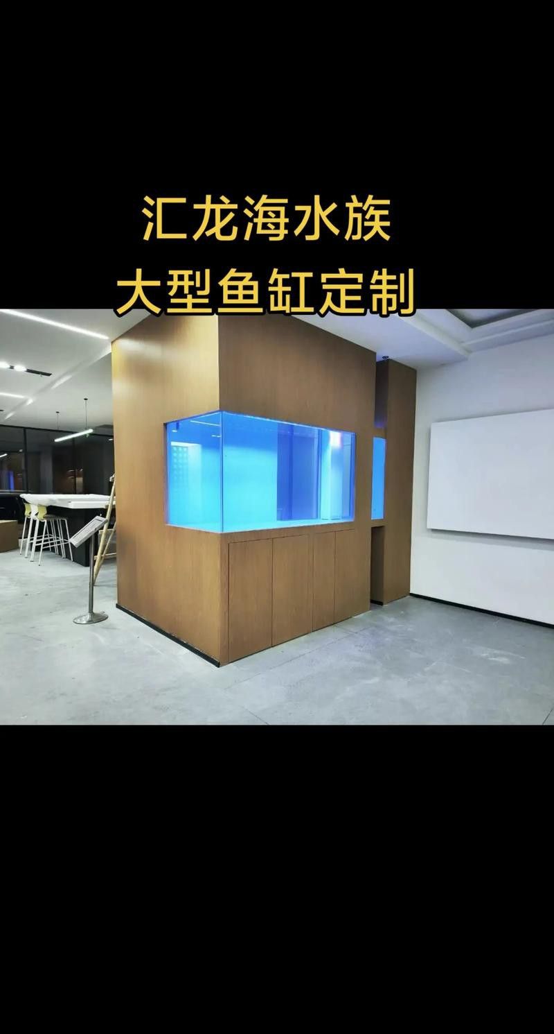 專業定做魚缸觀賞魚選龍魚世家水族館贊