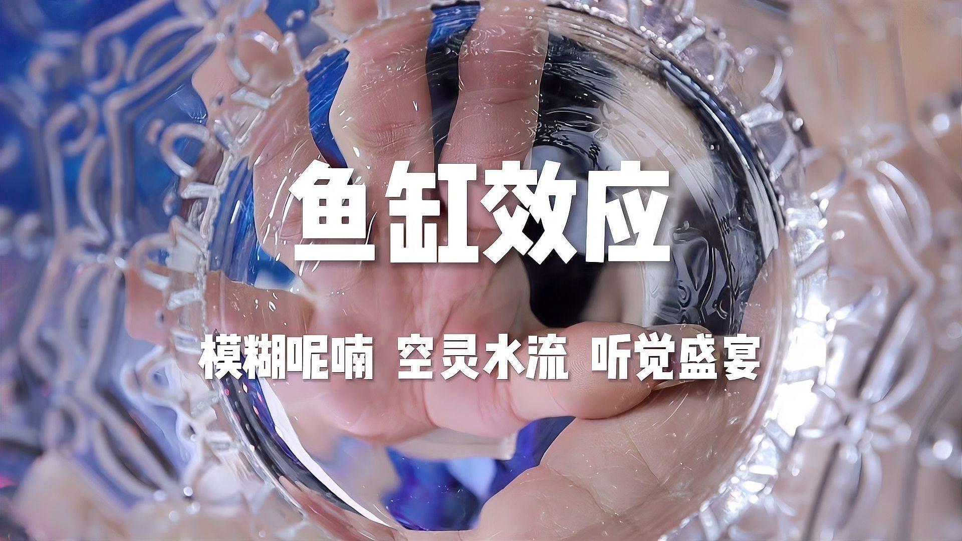 專業定做魚缸觀賞魚選龍魚世家水族館贊