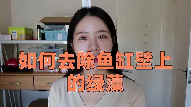 如何清潔金龍魚缸背景上的藻類？
