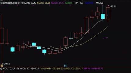 白色金龍魚價格走勢分析最新（白色金龍魚價格走勢分析最新信息金龍魚價格走勢）
