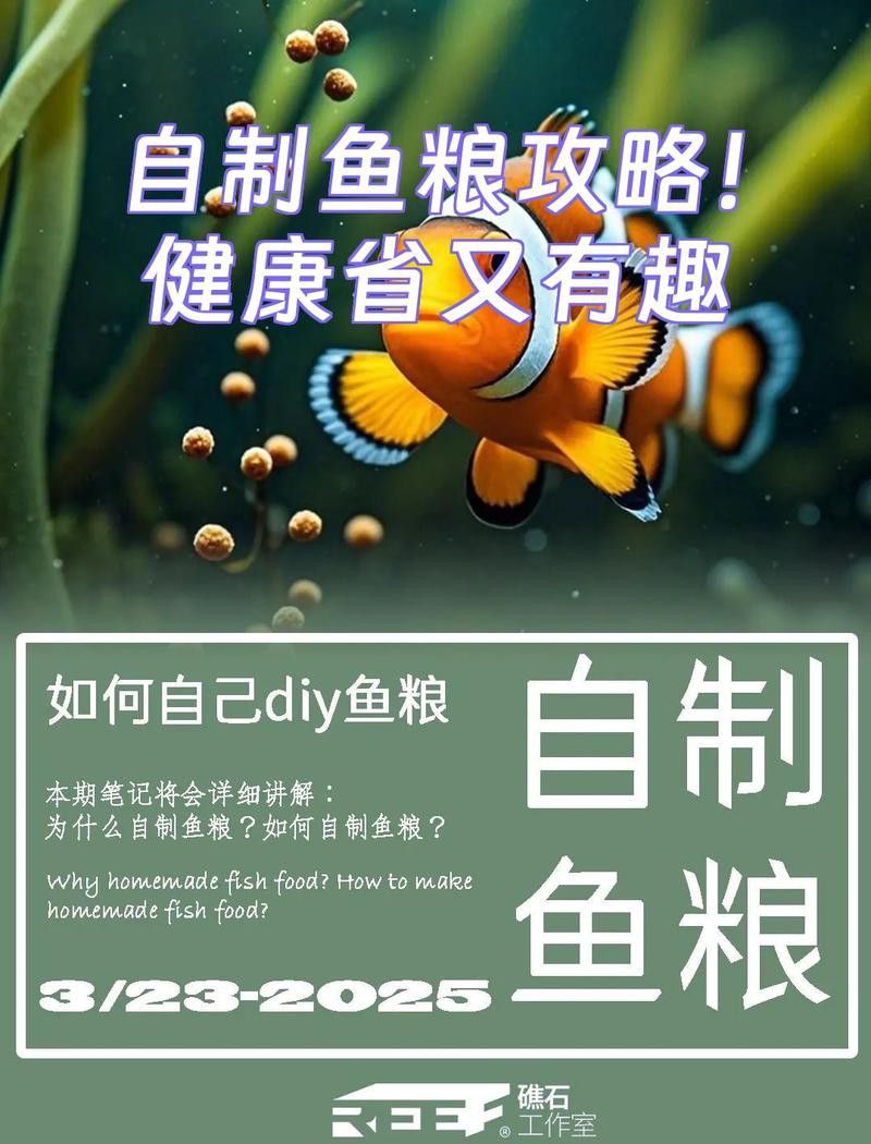 如何自制藍底金龍魚飼料？