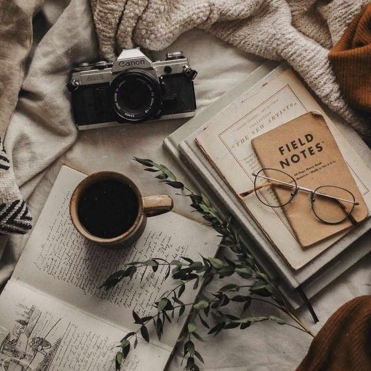 龍魚爛身最怕三個東西 龍魚爛身最怕三個東西 龍魚百科 第4張