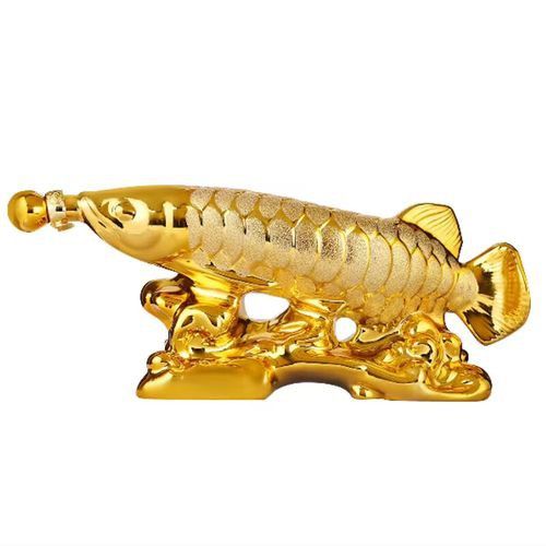 金龍魚白酒 龍魚百科 第5張 金龍魚白酒 金龍魚白酒 龍魚百科 第5張