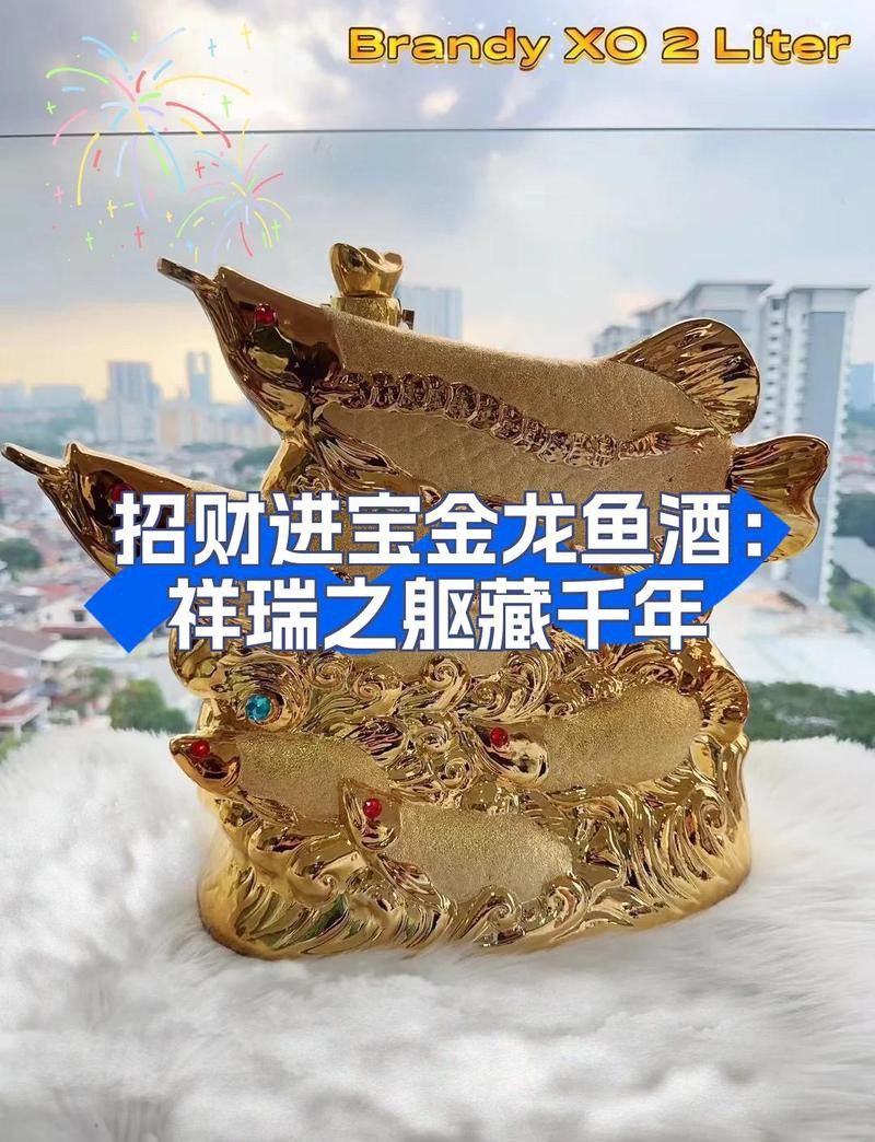 金龍魚白酒 金龍魚白酒 龍魚百科 第14張