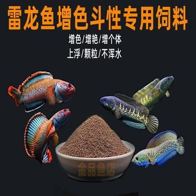 雷龍魚飼料魚：雷龍魚飼料品牌對比