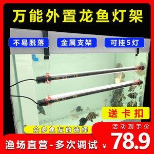 紅龍魚用nec6700k白燈好嗎：nec6700k白燈養(yǎng)紅龍魚的注意事項