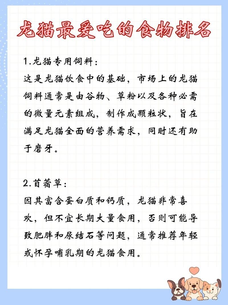 龍貓繁殖時需要準備什么？