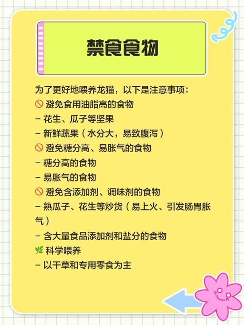 龍貓繁殖時需要準備什么？