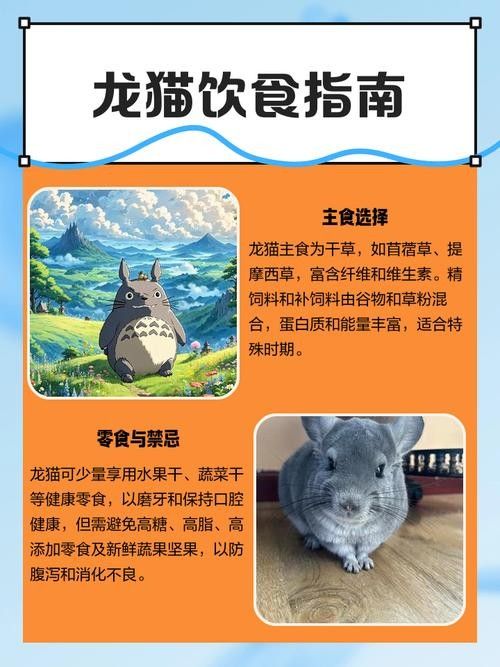龍貓繁殖時需要準備什么？