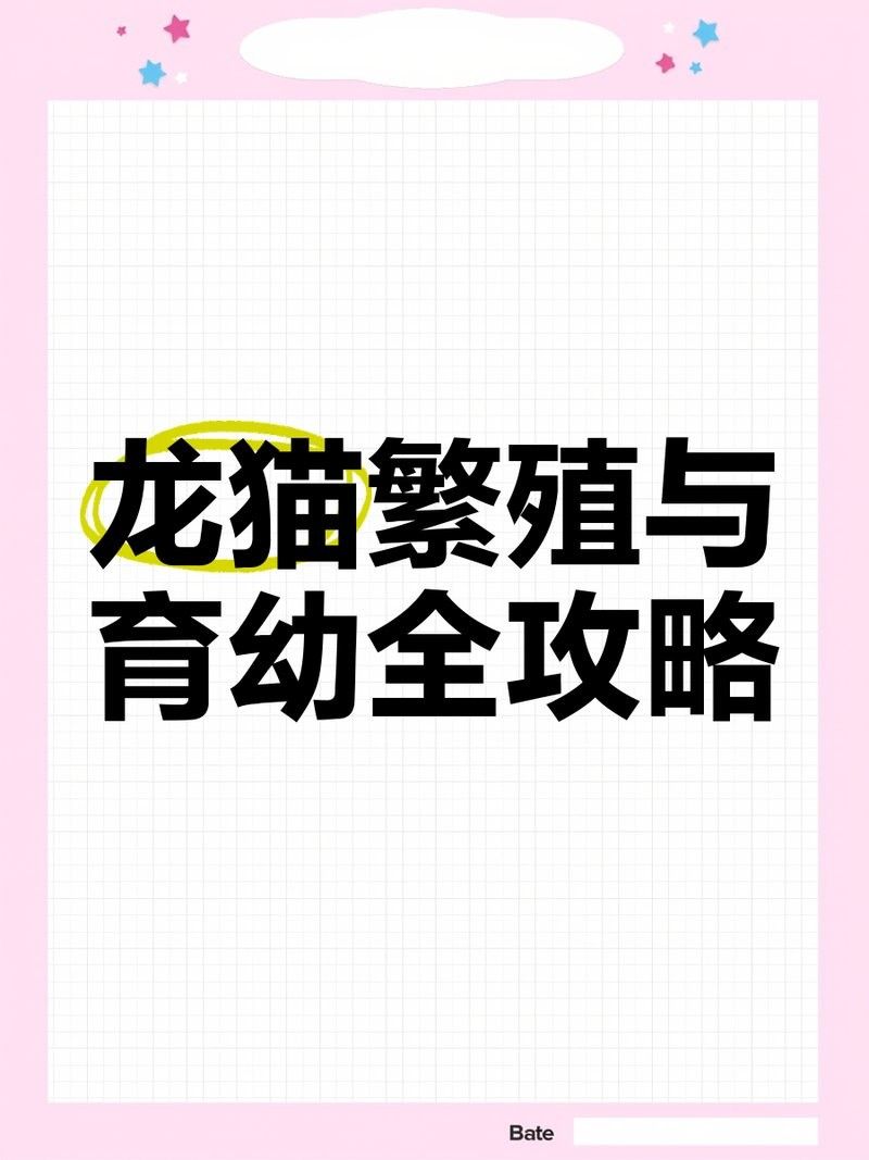 龍貓繁殖時需要準備什么？