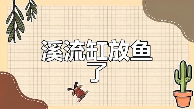 雷龍魚和虎皮魚混養(yǎng)好不好