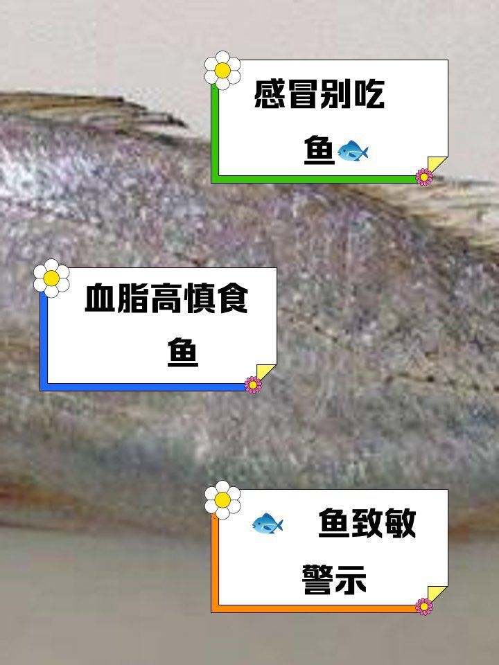 鮸魚盡量少吃的原因