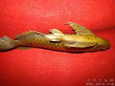 黃金金龍魚古董（民國時期的小黃魚如今值多少錢如今值多少錢）