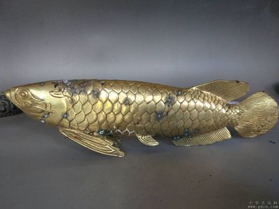 黃金金龍魚古董（民國時期的小黃魚如今值多少錢如今值多少錢）