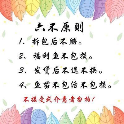 豹紋夫魚苗疾病預防（如何判斷豹紋夫魚苗健康狀況）