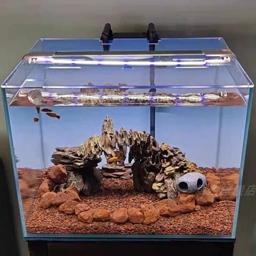 龍魚會跳缸嗎怎么回事啊圖片