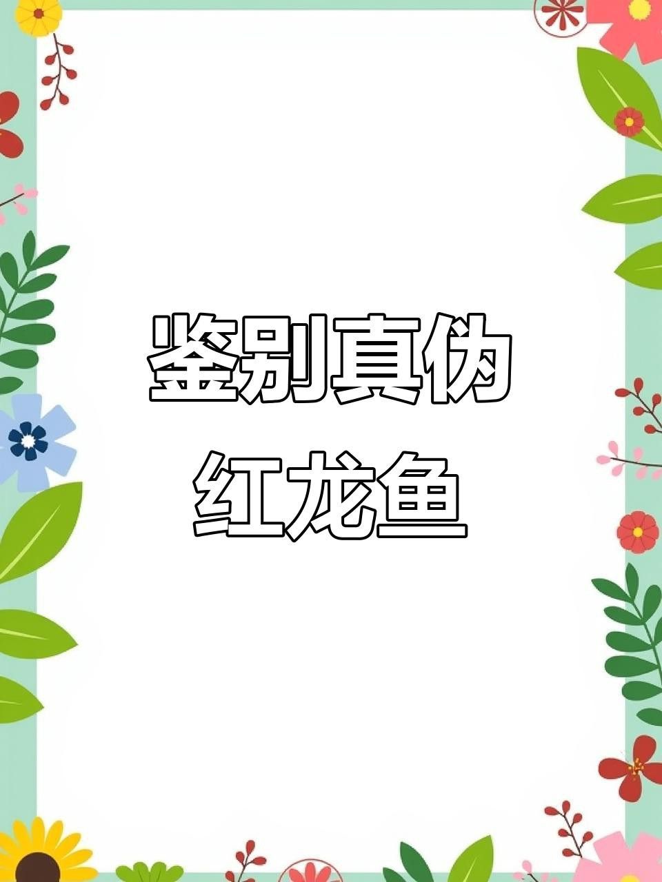 如何區分戰車紅龍魚的品相？