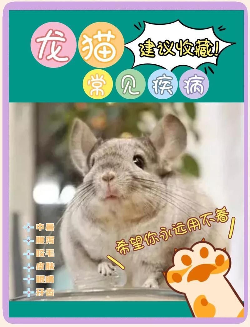 龍貓生病需要就醫嗎？