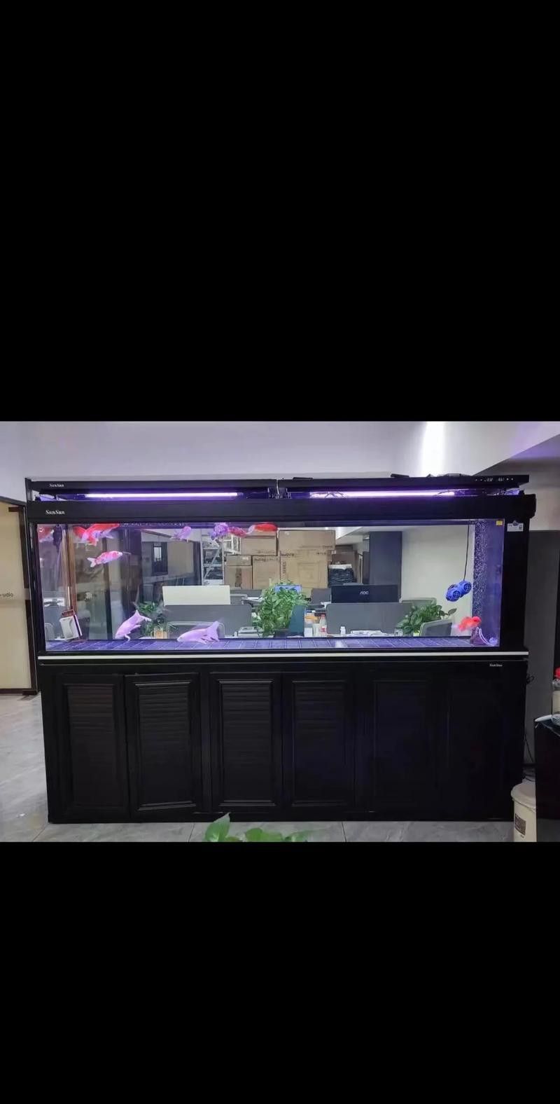 哪個牌子的龍魚缸好一點