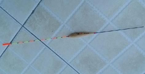 龍魚漂著不動：當您的龍魚漂浮在水面上，一動不動，可能是多種原因引起的