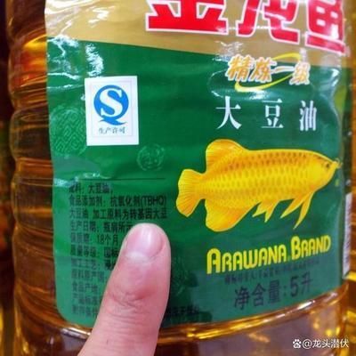 金龍魚分析討論：金龍魚市場競爭力分析