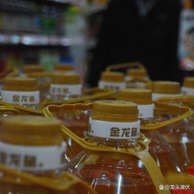 金龍魚分析討論：金龍魚市場競爭力分析