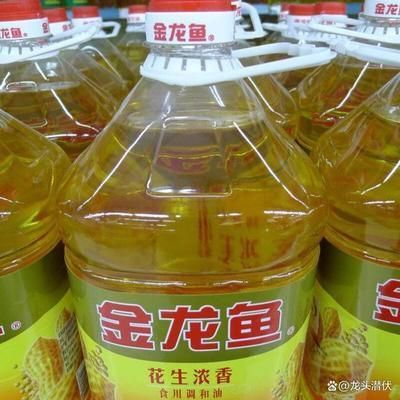 金龍魚分析討論：金龍魚市場競爭力分析