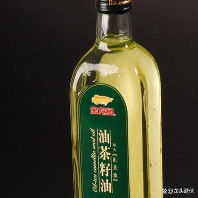 金龍魚分析討論：金龍魚市場競爭力分析