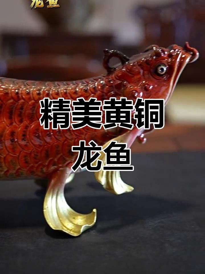 金龍魚雕刻有哪些材料選擇？