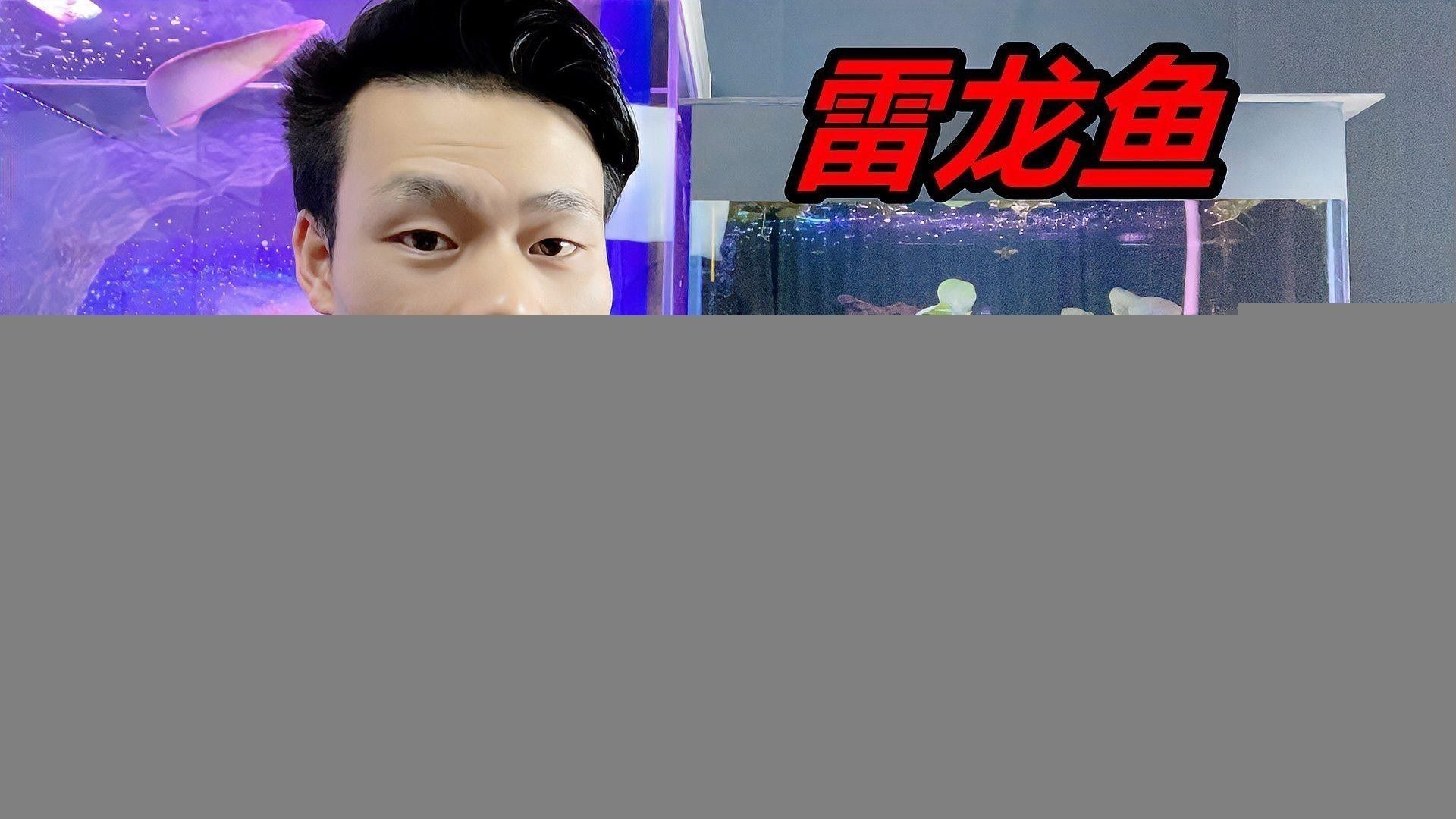 雷龍魚(yú)如何讓帆長(zhǎng)高