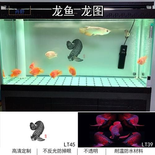 紅龍魚魚缸背景紙圖片大全